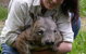 Fauna Australia Wildlife Retreat - thumb 0