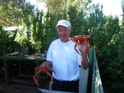 Cowell Foreshore Caravan Park & Holiday Units - Timeshare Accommodation 4