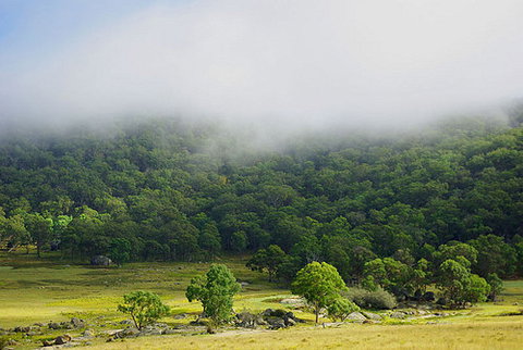 Tor Cottage At Anketell Forest - Timeshare Accommodation 0