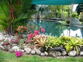 Daintree Wild Bed And Breakfast - Timeshare Accommodation 0