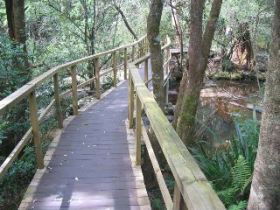 The Mouses House - Timeshare Accommodation 0