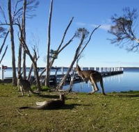 Waterfront Retreat At Wattle Point