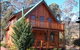 Coolibah Creek Homestead - thumb 0
