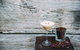 Coogee Bay Hotel - Boutique - thumb 35