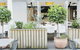 Coogee Bay Hotel - Boutique - thumb 73