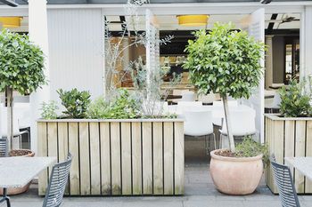 Coogee Bay Hotel - Boutique - Timeshare Accommodation 73