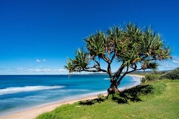 North Coast Holiday Park Corindi Beach - Timeshare Accommodation 16