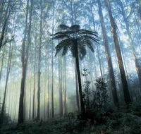 Tower Motel Marysville