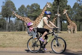 Zoofari Lodge, Taronga Western Plains Zoo - Timeshare Accommodation 7