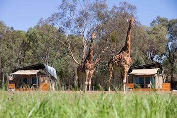 Zoofari Lodge, Taronga Western Plains Zoo - Timeshare Accommodation 13