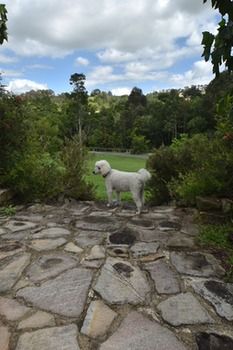 Coverdales B & B At Eumundi - Timeshare Accommodation 23