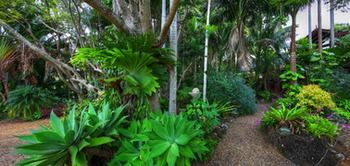 Maleny Tropical Retreat Balinese B&b - Timeshare Accommodation 11