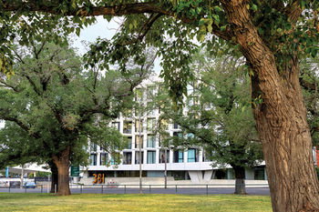 381 Cremorne - Timeshare Accommodation 15