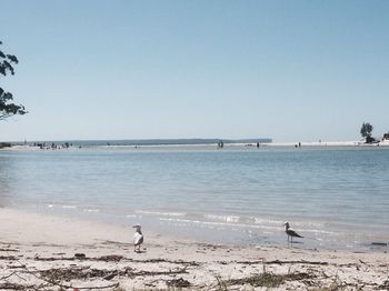 Huskisson Beach Bed And Breakfast - Timeshare Accommodation 3