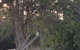 Huskisson Beach Bed And Breakfast - thumb 7