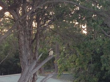 Huskisson Beach Bed And Breakfast - Timeshare Accommodation 7