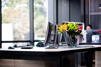 Pullman Sydney Airport - Timeshare Accommodation 12