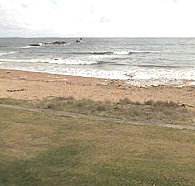 Penguin Caravan Park - Timeshare Accommodation