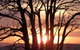 Tuki Trout Farm And Retreat - thumb 5