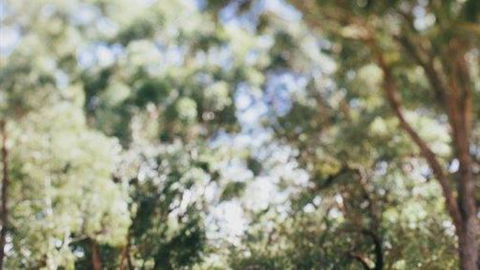 The Cottage At Bolobek - Timeshare Accommodation 5