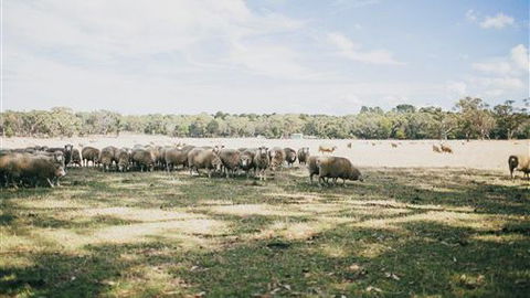 The Cottage At Bolobek - Timeshare Accommodation 6