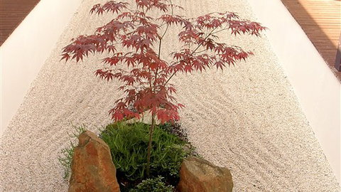 Shizuka Ryokan Japanese Country Spa & Wellness Retreat - Timeshare Accommodation 6