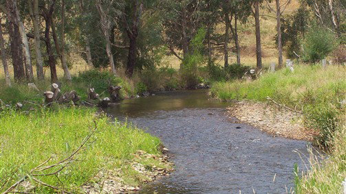 Thowgla Valley VIC Timeshare Accommodation