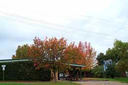 Allambie Motel Pty Ltd - Timeshare Accommodation 0