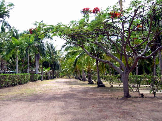 Alva QLD Timeshare Accommodation