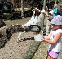 BIG4 Bairnsdale Holiday Park - Timeshare Accommodation