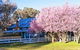 Bushlands Tourist Park - thumb 3