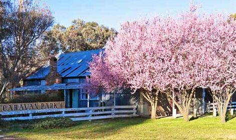 Bushlands Tourist Park - Timeshare Accommodation 3