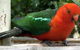 Bushlands Tourist Park - thumb 4