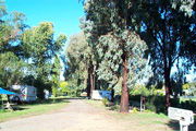 Cudal Caravan Park - Timeshare Accommodation 0