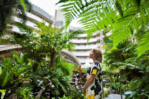 Double Tree - Timeshare Accommodation 3