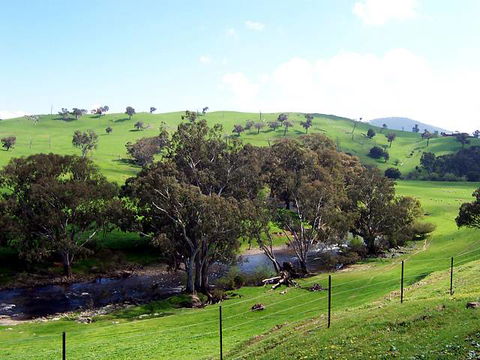 Elm Cottage - Tumut - Timeshare Accommodation 4