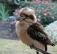 Glenbar Cottage - Timeshare Accommodation