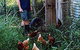 Lagoon Pocket Bed & Breakfast - thumb 1