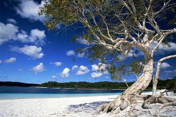 Mercure Kingfisher Bay Resort - Timeshare Accommodation 9