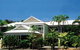 Reef Palms - thumb 8