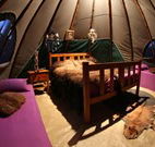 Aranyani Bison Adventure Tourist Park - Timeshare Accommodation