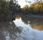 Four Mile Camping Reserve - Timeshare Accommodation