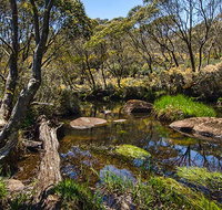 Junction Pools campground - Timeshare Accommodation