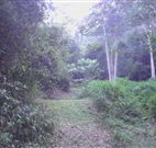 Macas Camping Ground