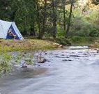 Nymboida Canoe Centre - Timeshare Accommodation