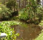 Tallowood Ridge B and B