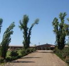 Newell Motor Inn - Narrandera - Timeshare Accommodation