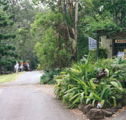 Tamborine Mountain Caravan  Camping