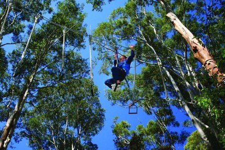Cedar Creek Lodges - Timeshare Accommodation 3