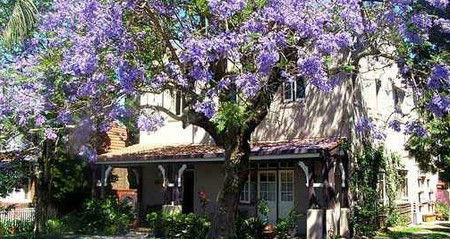 Burwood Boronia Lodge Private Hotel - Timeshare Accommodation 2